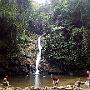folder